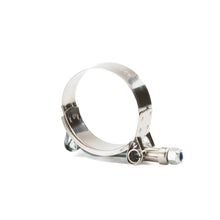 Load image into Gallery viewer, RPM Replacement T-Bolt Clamps